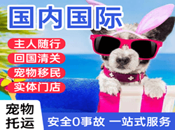 西安空运国际宠物托运 【国
